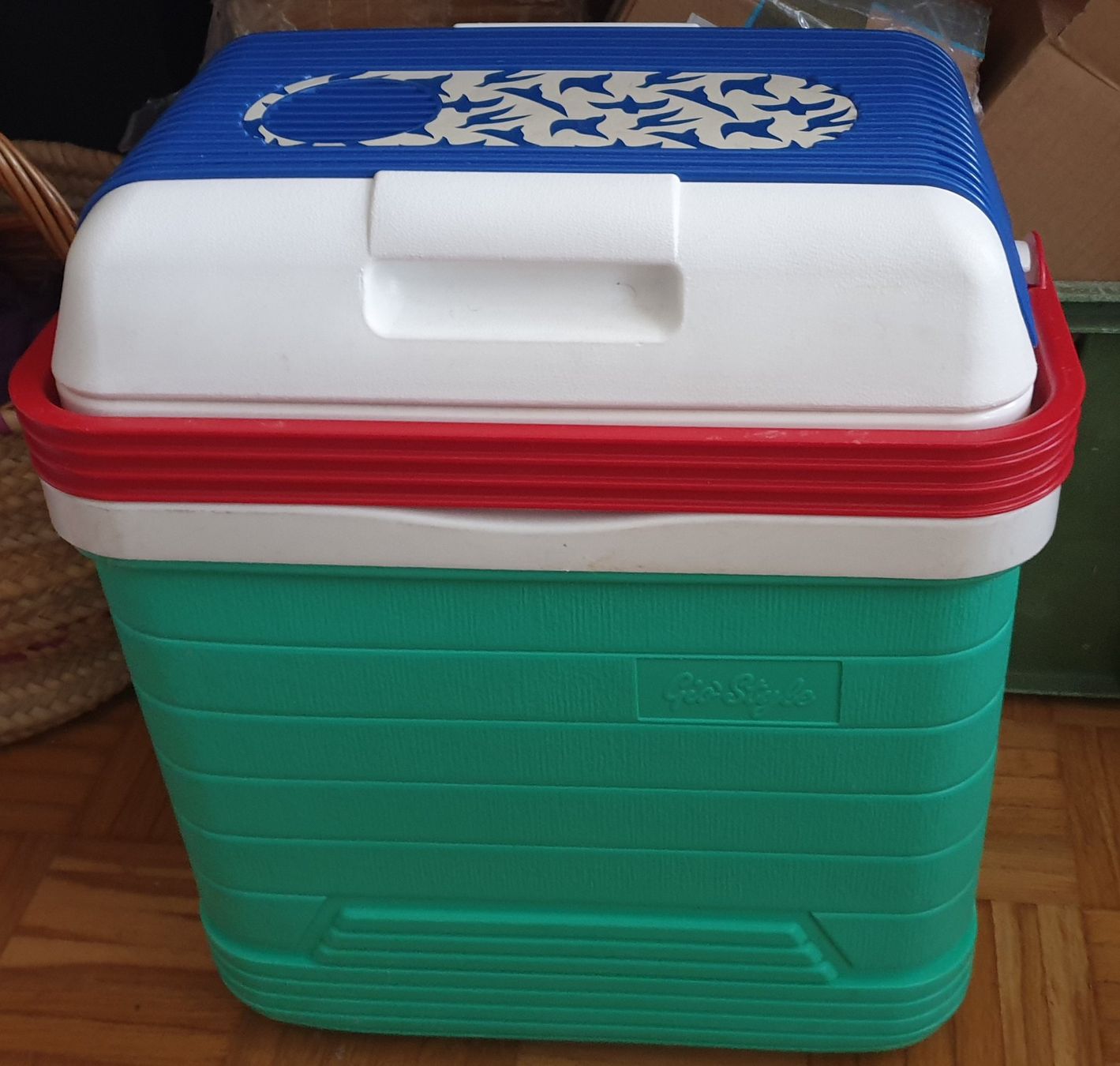 Frigoriferi & Refrigeratori: GIO'STYLE Kühlbox – Usato da Basel venduto da Ringe1 1