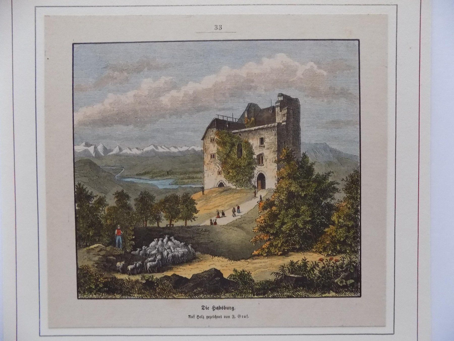 Incisioni: Habsburg Ruine vom Schloss – Usato da Risch venduto da Antikfee 1