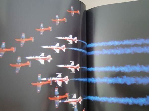 Libri: Pearls of Switzerland - Luftwaffe – Usato da Chur venduto da omonia 4