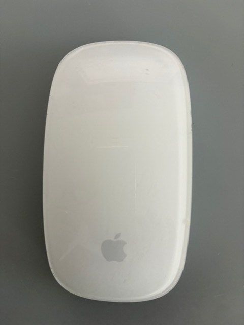 Apple Maus: Apple Mouse weiss – Gebraucht aus Meisterschwanden von Etcheberria