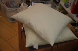 2 STUCK COUSSIN - CM 40X38