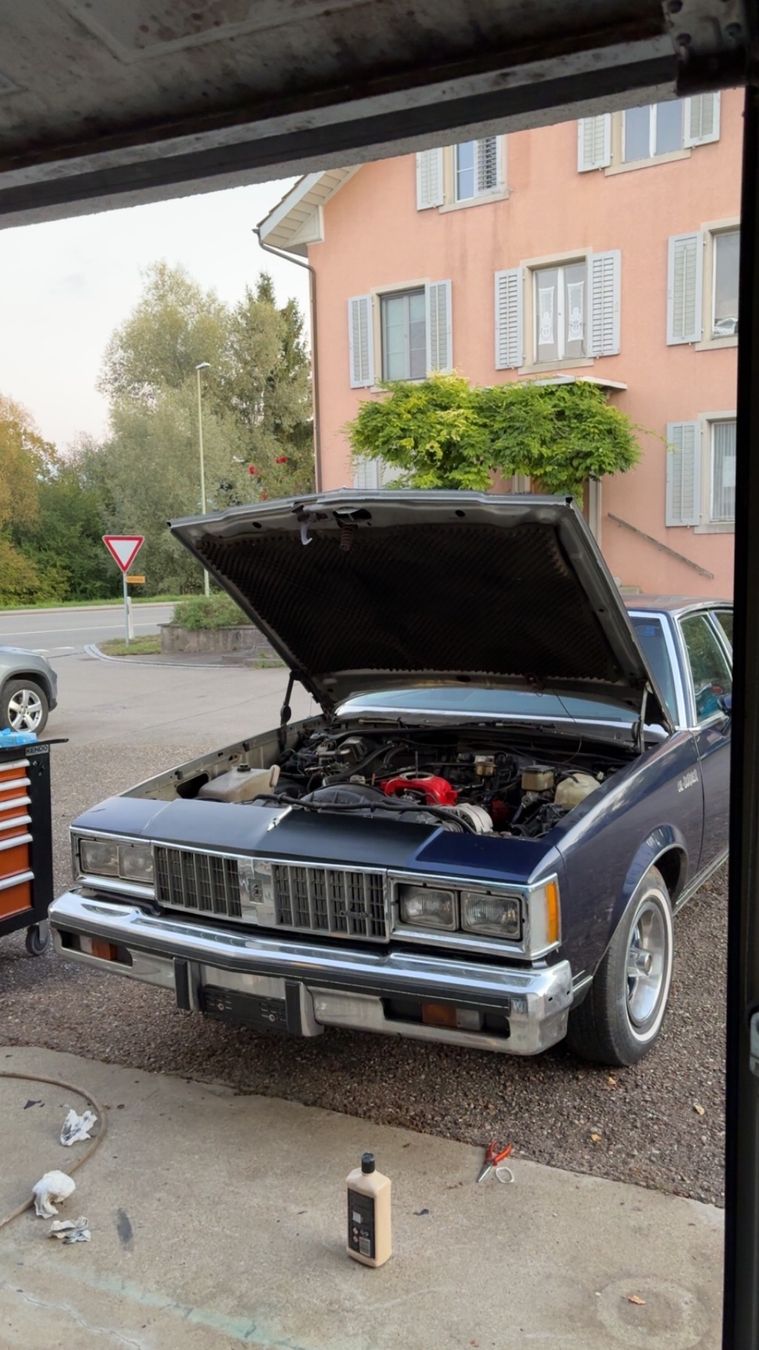 Oldsmobile Autos: Oldsmobile Cutlass 1981 V8 – Gebraucht aus Hinwil von WeRcVerkauf 3