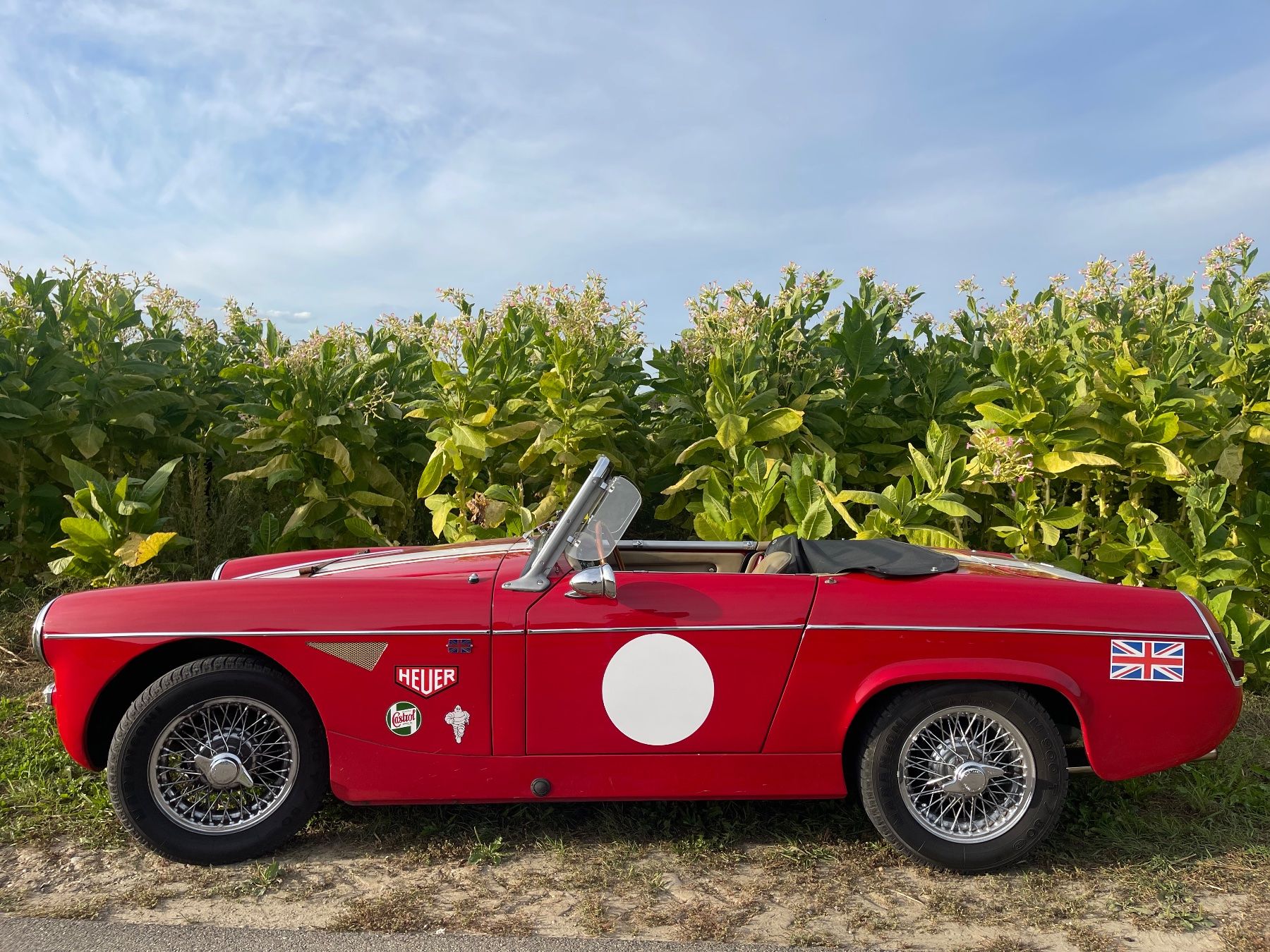MG Autos: MG Midget 1963 Mk1 Oldtimer Veteran Retro look – D'occasion à Flaach par Alphae 5