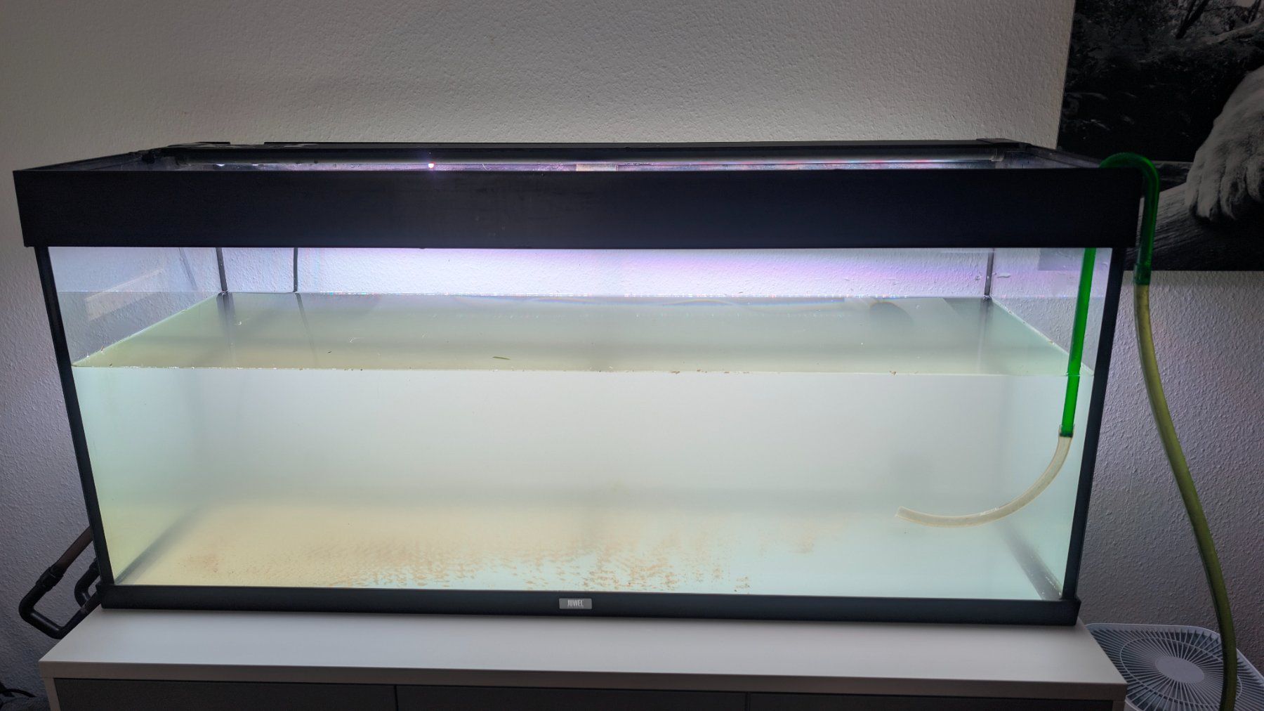 Juwel Aquarium: Juwel Rio 240  Schwarz – D'occasion à Sirnach par soren02 1