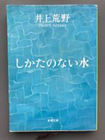 Japanisches Taschenbuch 25