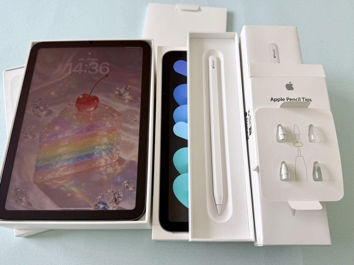 Apple Tablet PC: iPad Mini 6th Gen. (Full Set) – Gebraucht aus Marly von Nor_al3 3