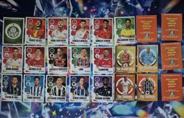 Panini FIFA Club World Cup 2025 Sammelkarten