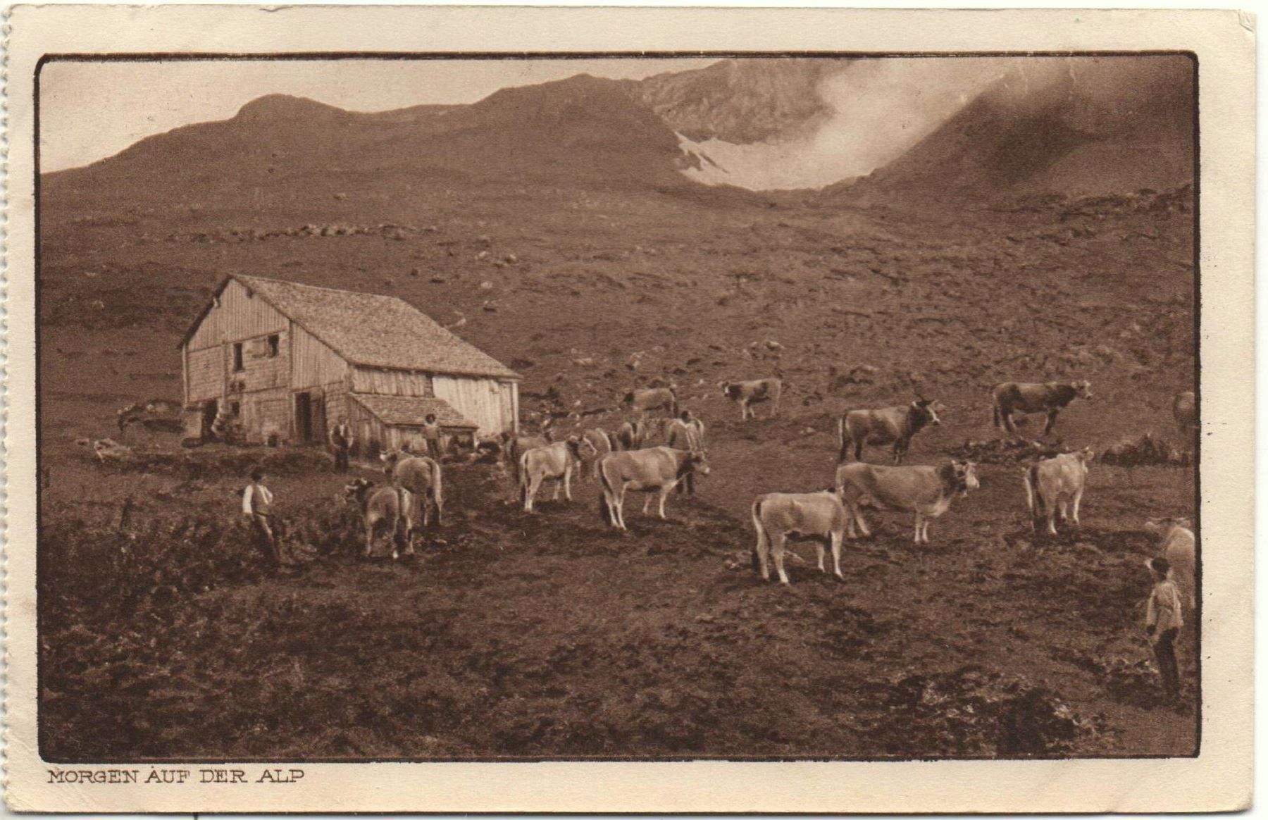 Cartoline postali: MORGEN AUF DER ALP Bauer mit Kühen – Usato da Jona venduto da philajona