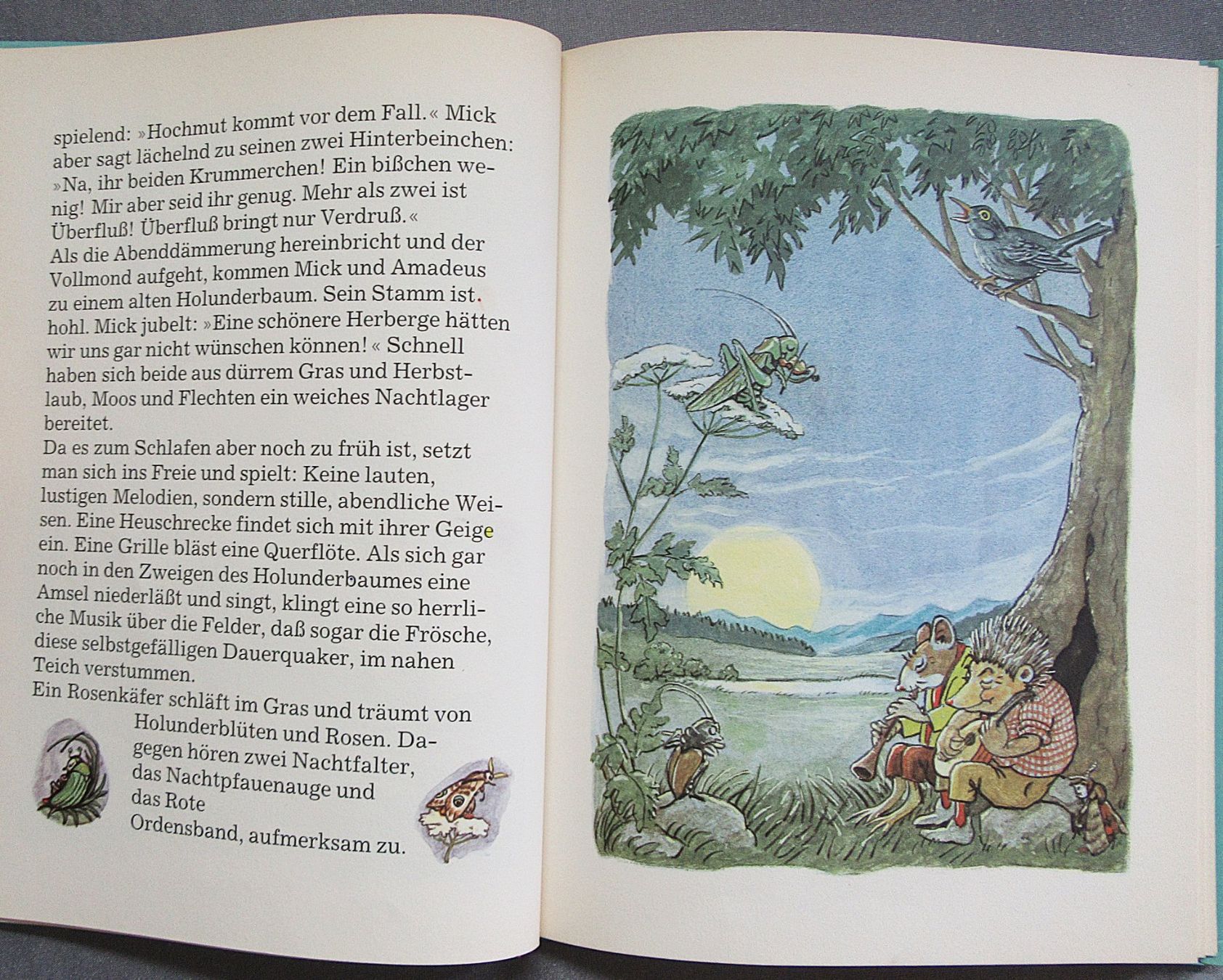 Libri: Die Abenteuer des Mäusevaters Amadeus Knabberzahn – Usato da Auenstein venduto da Padabimbim 2