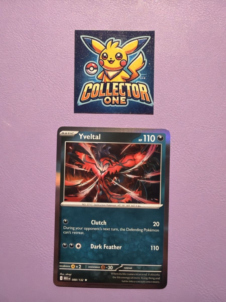 Pokémon Carte collezionabili: Pokemon Yveltal Holo wunderschön – Nuovo (secondo la descrizione) da Lommiswil venduto da CollectorOne