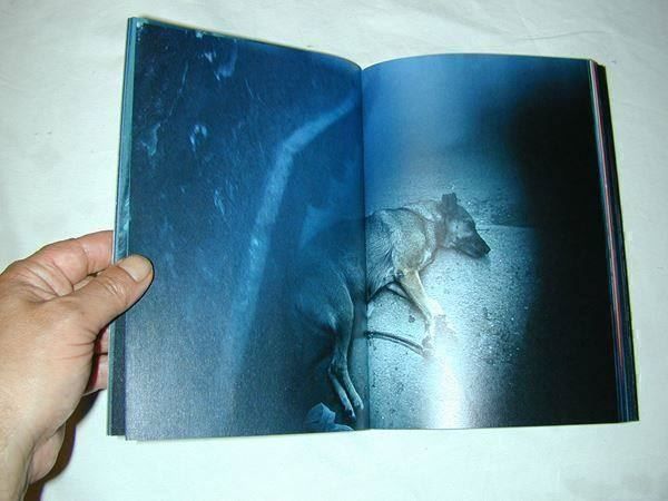 Bücher: Cristina De Middel Fotoklassiker – Gebraucht aus Welschenrohr von Regool