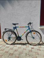 Neues Retro Alaska Mtb Velo im coolen Farbenmuster