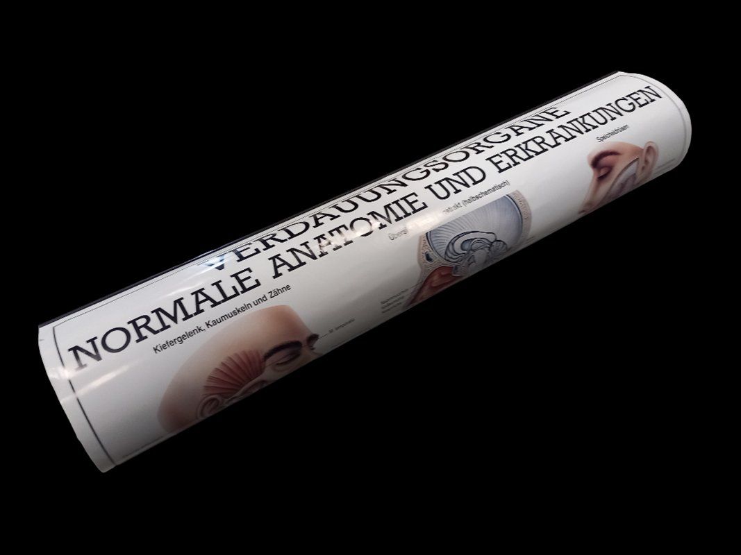 Foto & Immagini: Verdauungsorgane & Hormonsystem Plakat – Usato da Hünenberg venduto da Restwert_Zug 3