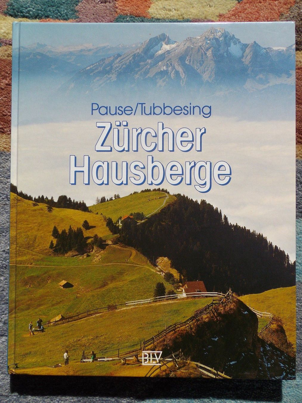 Libri: Zürcher Hausberge – Usato da Uster venduto da urs_75by