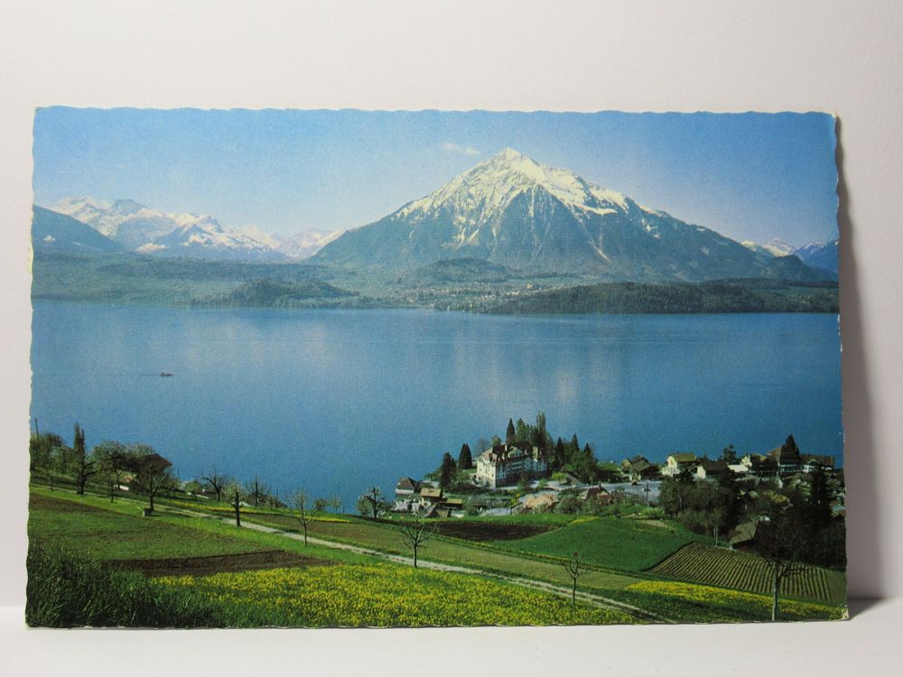 Gunten am Thunersee & Niesen 1964 (Gebraucht) in Grenchen für CHF 0.35 ...