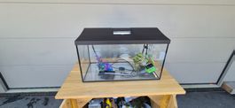 Aquarium-Set 100l m. Unterschrank & Zubehör, wie neu! 🐠