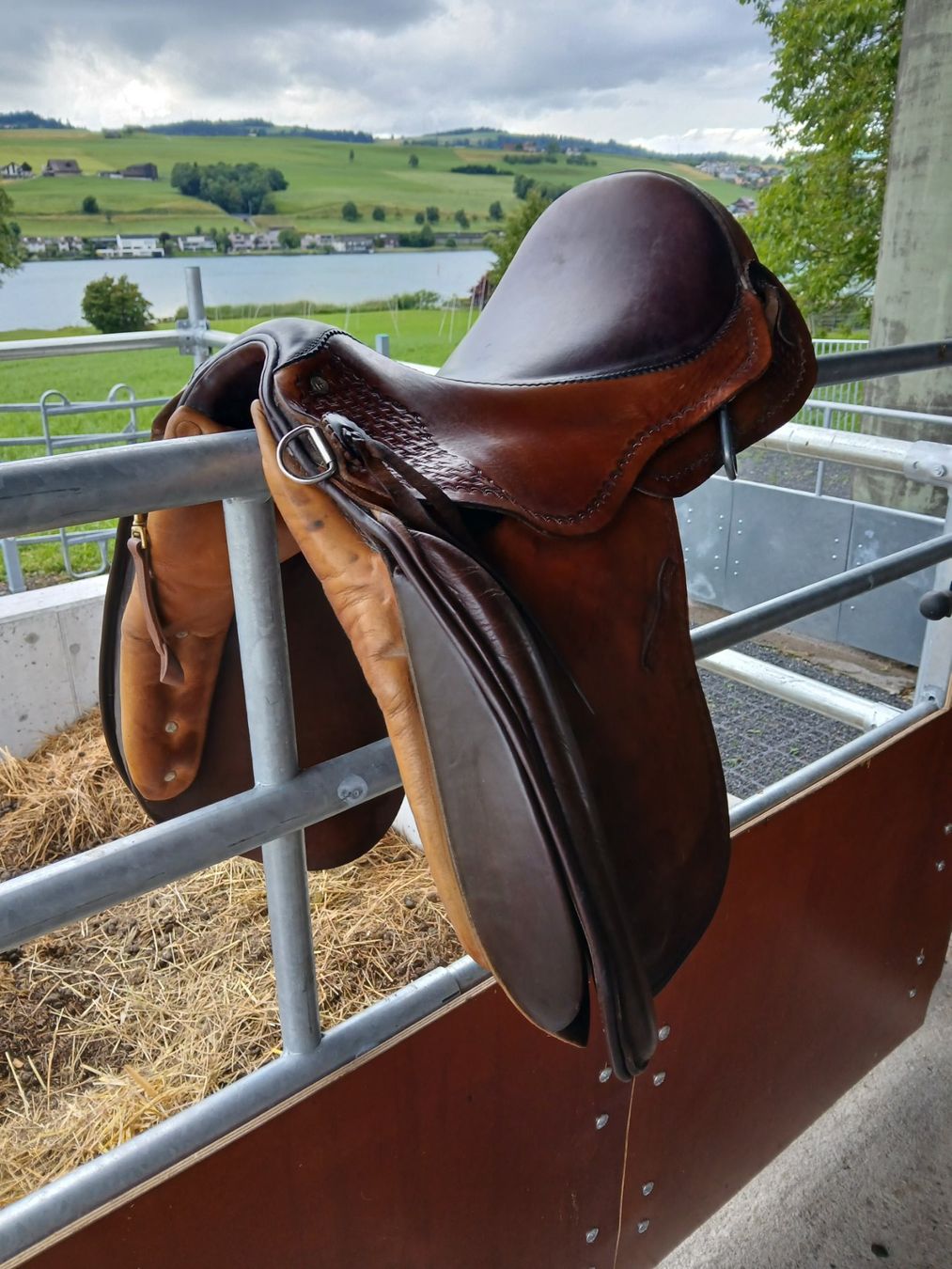 Sattel & Sattelzubehör: Sattel Althaus – Gebraucht aus Küssnacht am Rigi von saschigalka 2
