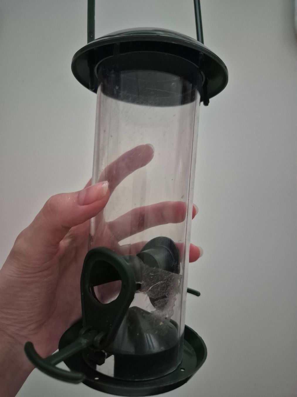 Mangimi: Vogel Vogelfutter Spender / Feeder – Usato da Zürich venduto da pau_y8mv 1