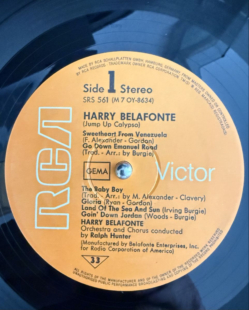 Dischi in vinile: Harry Belafonte Jump Up Schallplatte – Usato da Goldach venduto da Donpancho 4