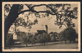 AK Wolfhalden, Panoramaansicht, 1912