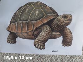SCHILDKRÖTE - Auto Aufkleber - 15,5x12cm