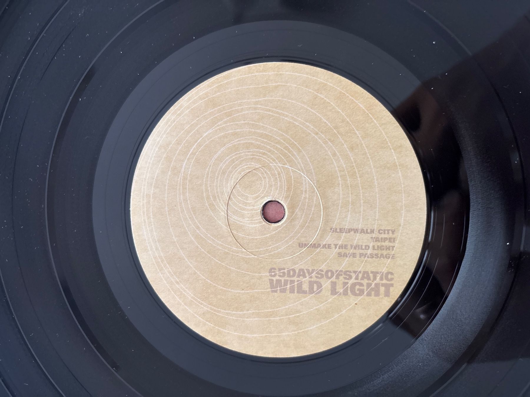 Schallplatten: 65daysofstatic - Wild Light - Vinyl – Gebraucht aus Frutigen von Philippe_jsp 2