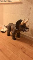 Grosser Triceratops Dinosaurier  stabil & gross
