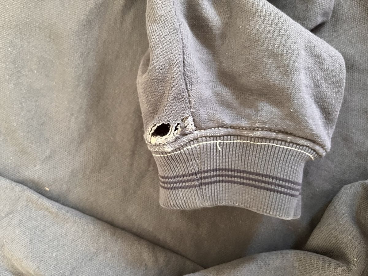 Adidas Maglioni & Felpe: Adidas Sweatshirt – Usato da Bern venduto da ann1e 4