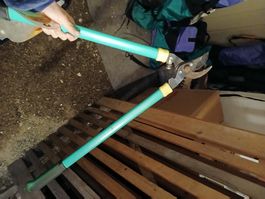 Gebrauchte Astschere für den Gartenschnitt