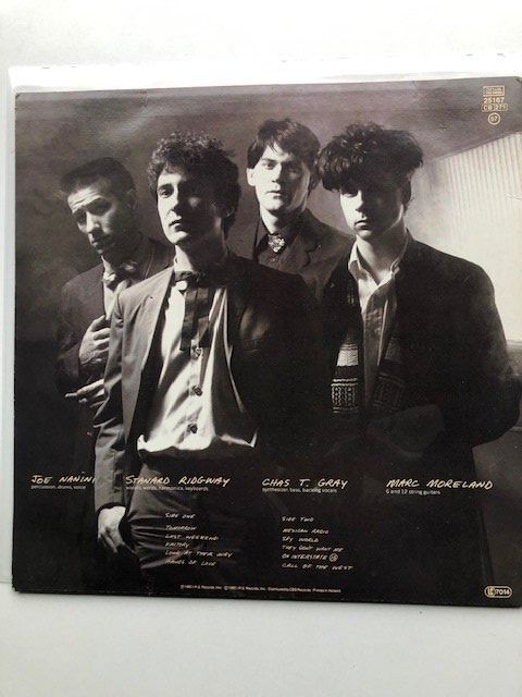 Dischi in vinile: Wall Of Voodoo – Usato da Aarwangen venduto da Jukebox3 2