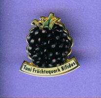 Toni Früchtequrk Bifidus  BROMBEER