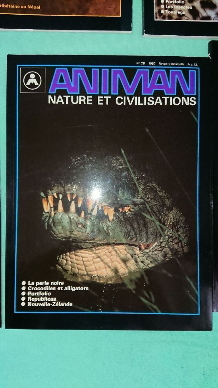Riviste & Magazine: Animan / 7 Magazines – Usato da Cortaillod venduto da signep 3