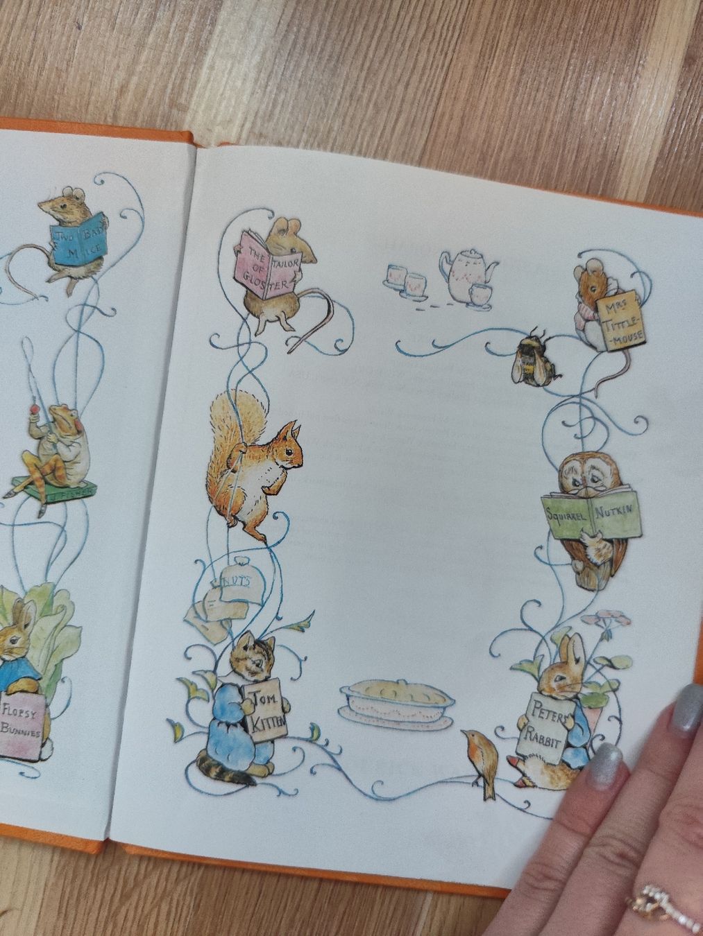 Libri: Beatrix Potter The Tale of Squirrel Nutkin – Usato da Mägenwil venduto da VintageGirly 4