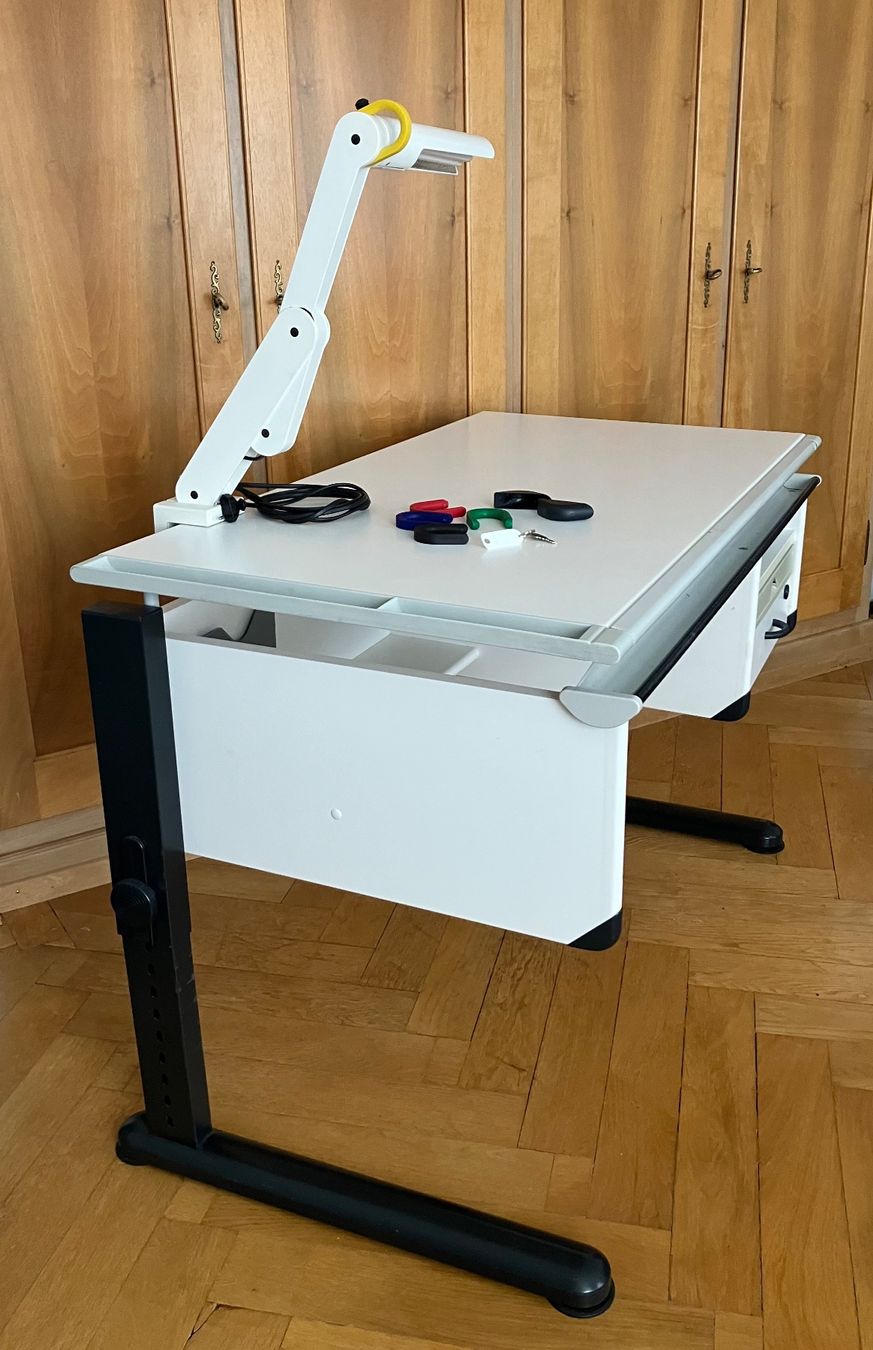Moll Schreibtische: MOLL - Pult mit MOLL - Tischlampe – Gebraucht aus Thun von Pustefix 1