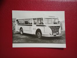 AK Autobus Berlin Typ IFA H68/S