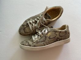 Puma Match Sneaker Schlangenmuster Grösse 37.
