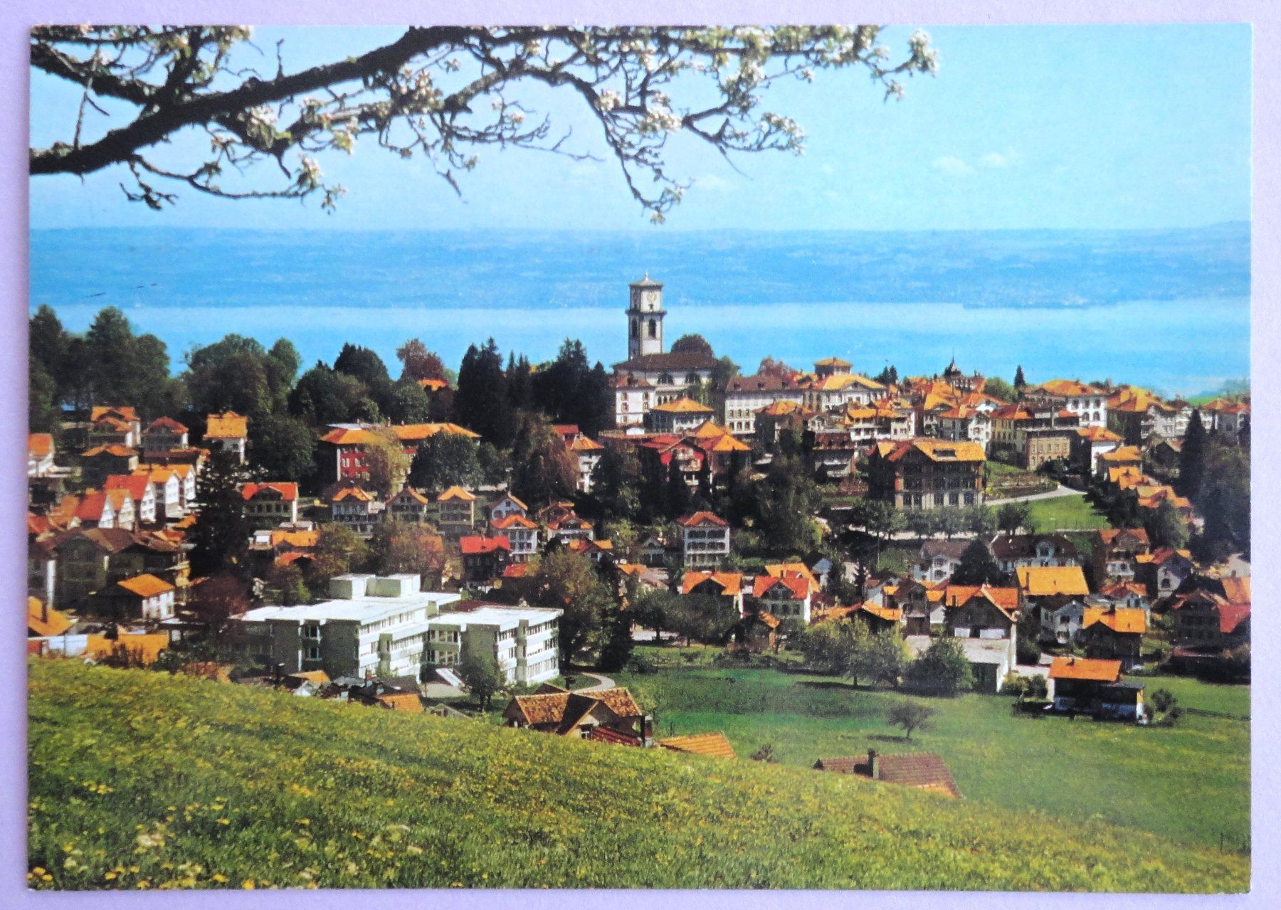 Ansichtskarten: Klimakurot Heiden mit Bodensee – Gebraucht aus Fétigny von Billy2miny