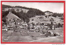 SIGNAU FOTOKARTE
