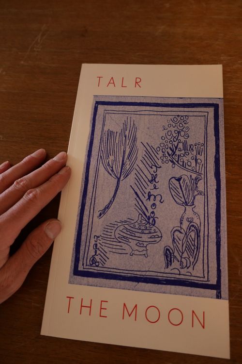 TAL R, The Moon, Künstlerbuch, Illustrationen (Gebraucht) in Basel für ...