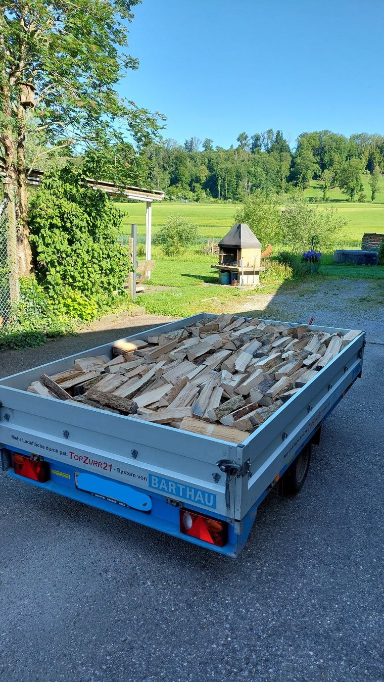 Holzartikel: Eschen-Brennholz / Sterbund – Neu (gemäss Beschreibung) aus Rossrüti von Radri 1