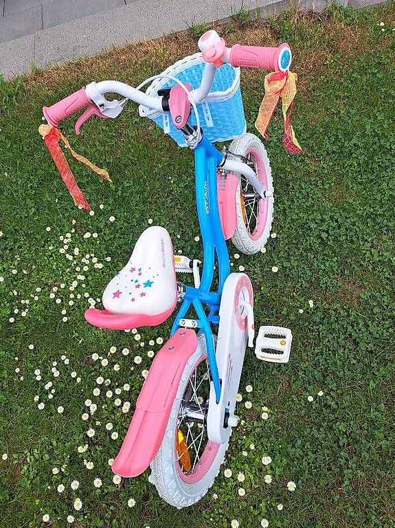 Biciclette: Kindervelo Royal Baby Stargirl – Usato da Geuensee venduto da IsabelleF0102 2