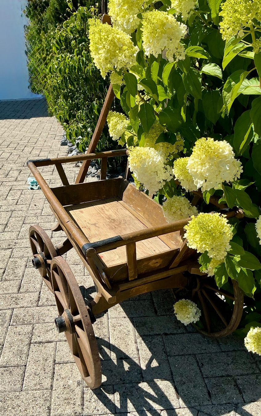 Carrelli di trasporto: ANTIKER LEITERWAGEN – Usato da Zell LU venduto da Silvermemory 3