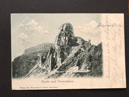 Postkarte Schynige Platte Gummihorn 1900  (P375)