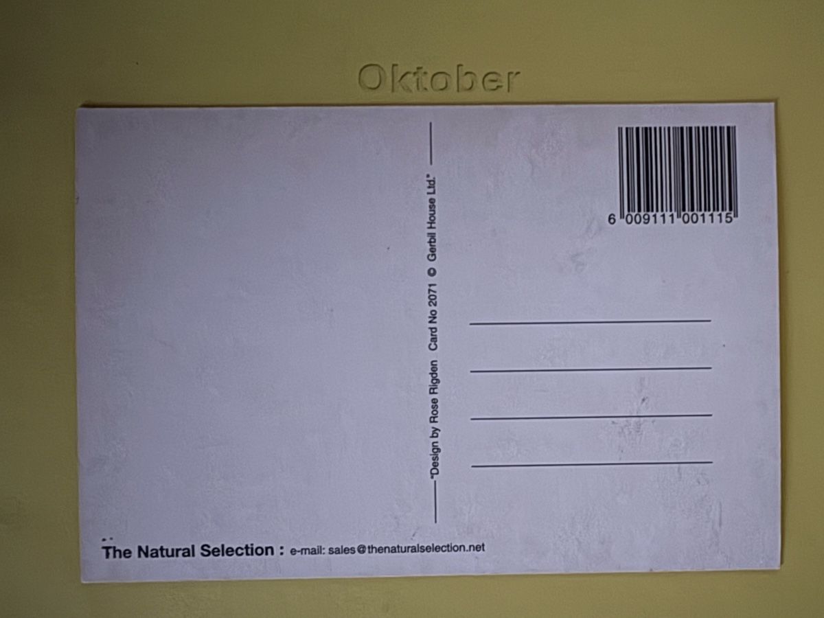 Cartoline postali: AK mit Kunst von Rose Rigden / Hund – Usato da Rümlang venduto da Kartenpost1 1