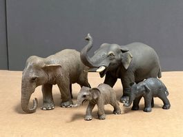 Schleich Elefant Elefanten asiatisch asiatische Herde
