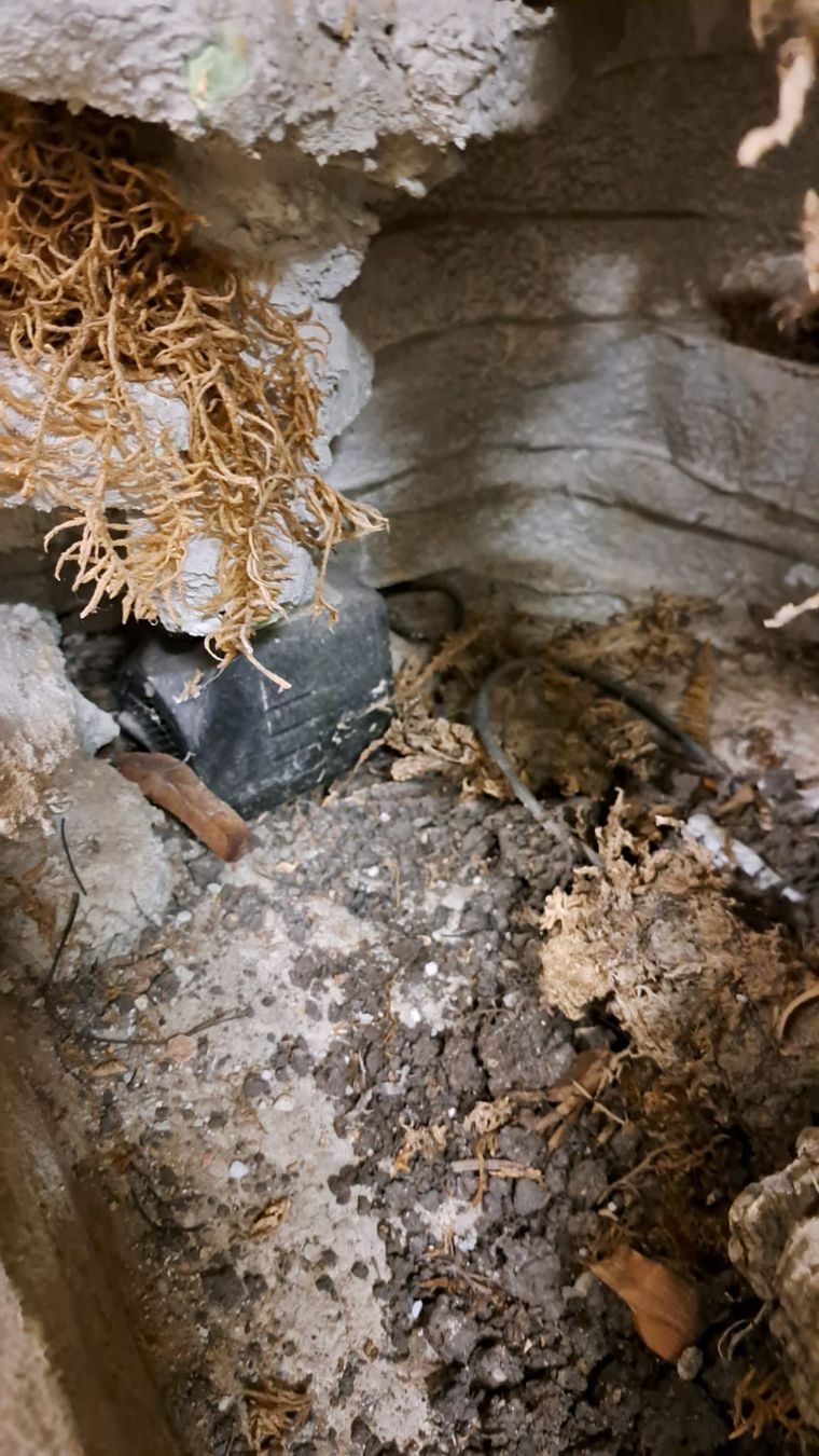 Terrario: Terrarium – Usato da Oberentfelden venduto da Myri13 5