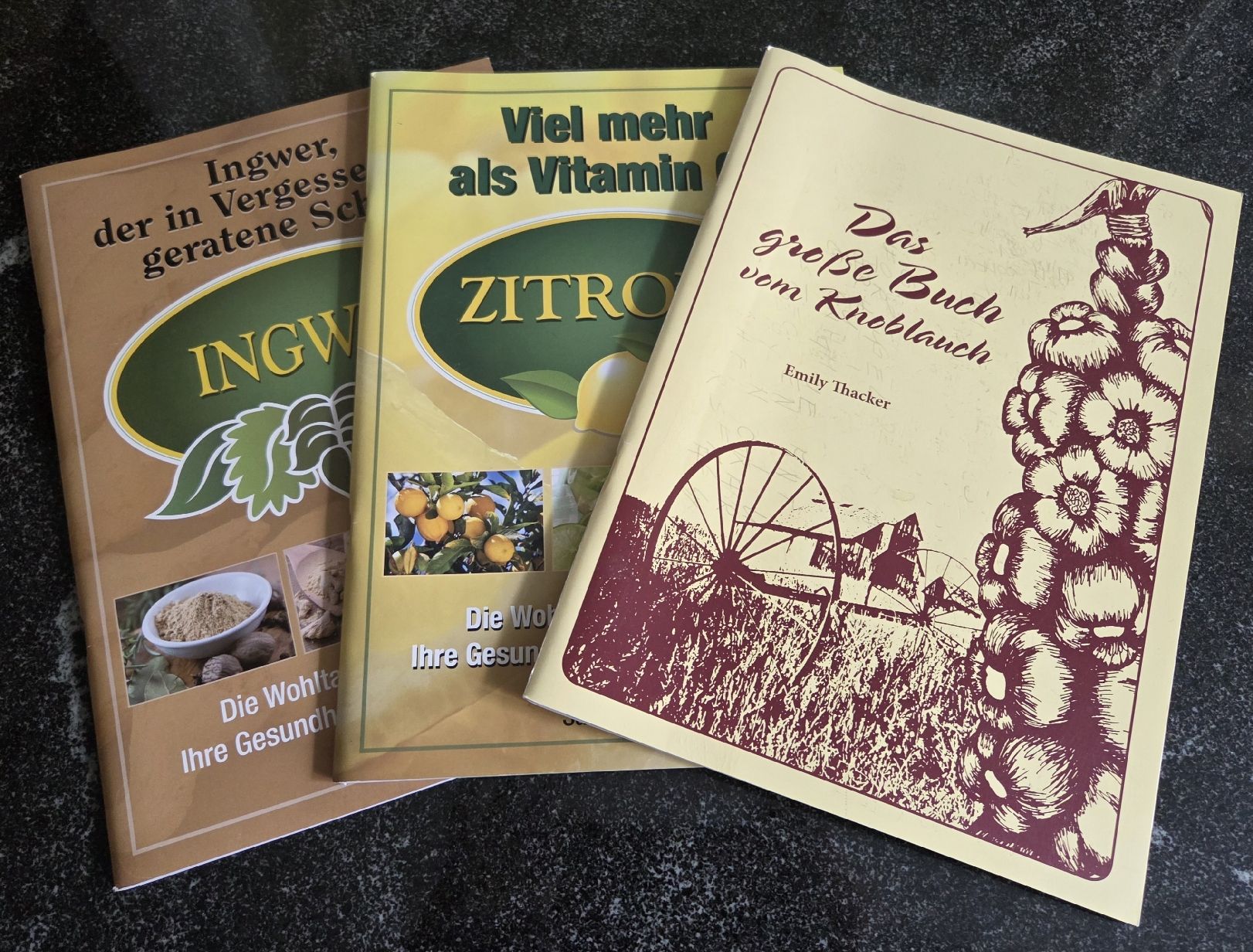 Libri: Fachbücher Knoblauch, Zitrone, Ingwer Kochbuch – Usato da Klingnau venduto da Groofty69