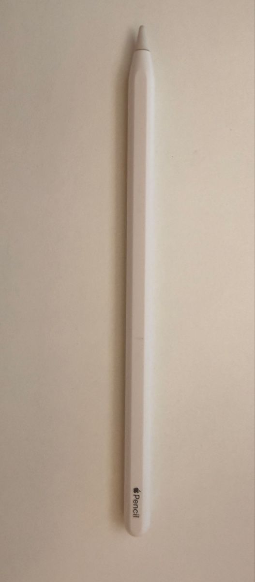 Apple Penna & Evidenziatori: Apple Pencil 2Gen – Usato da Winterthur venduto da blaxkin