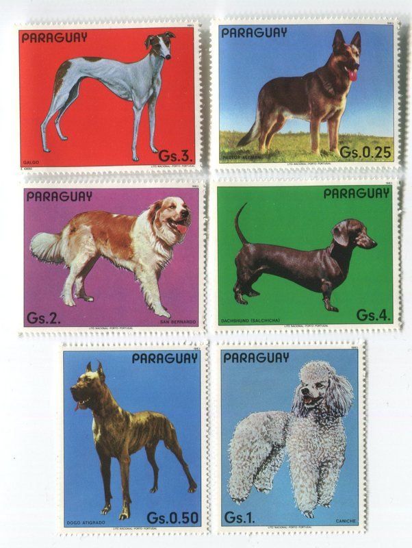 Tutti i francobolli: Briefmarken "Hunde". Paraguay – Nuovo e nell'imballaggio originale da Basel venduto da Butsch5