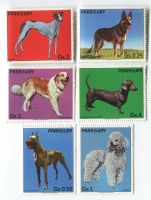 Briefmarken "Hunde". Paraguay